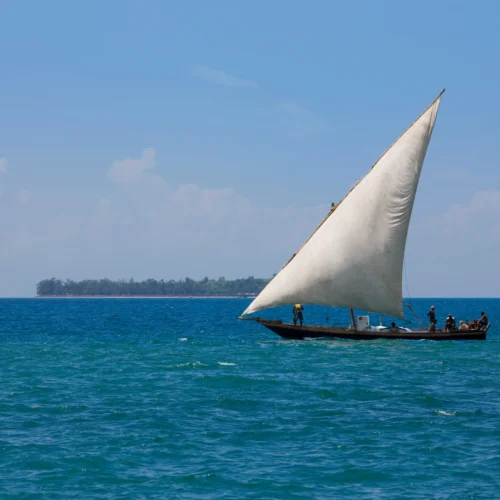 dhow-and-island-in-zanzibar-channel-zanzibar-tan-2026-03-26-09-43-23-utc_result