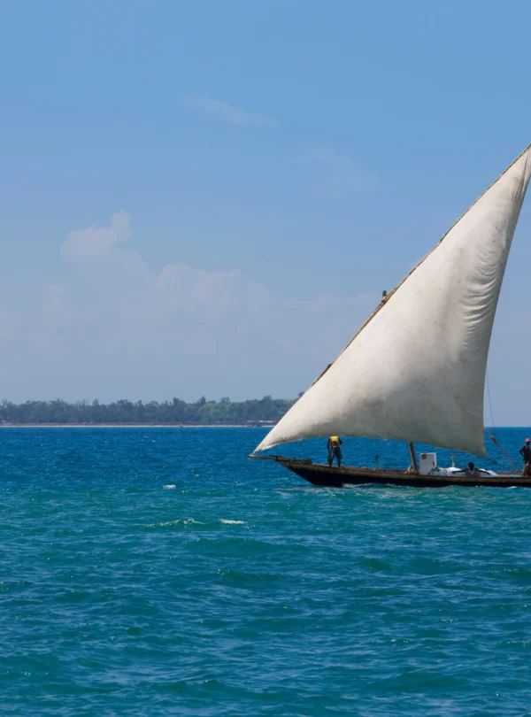 dhow-and-island-in-zanzibar-channel-zanzibar-tan-2026-03-26-09-43-23-utc_result