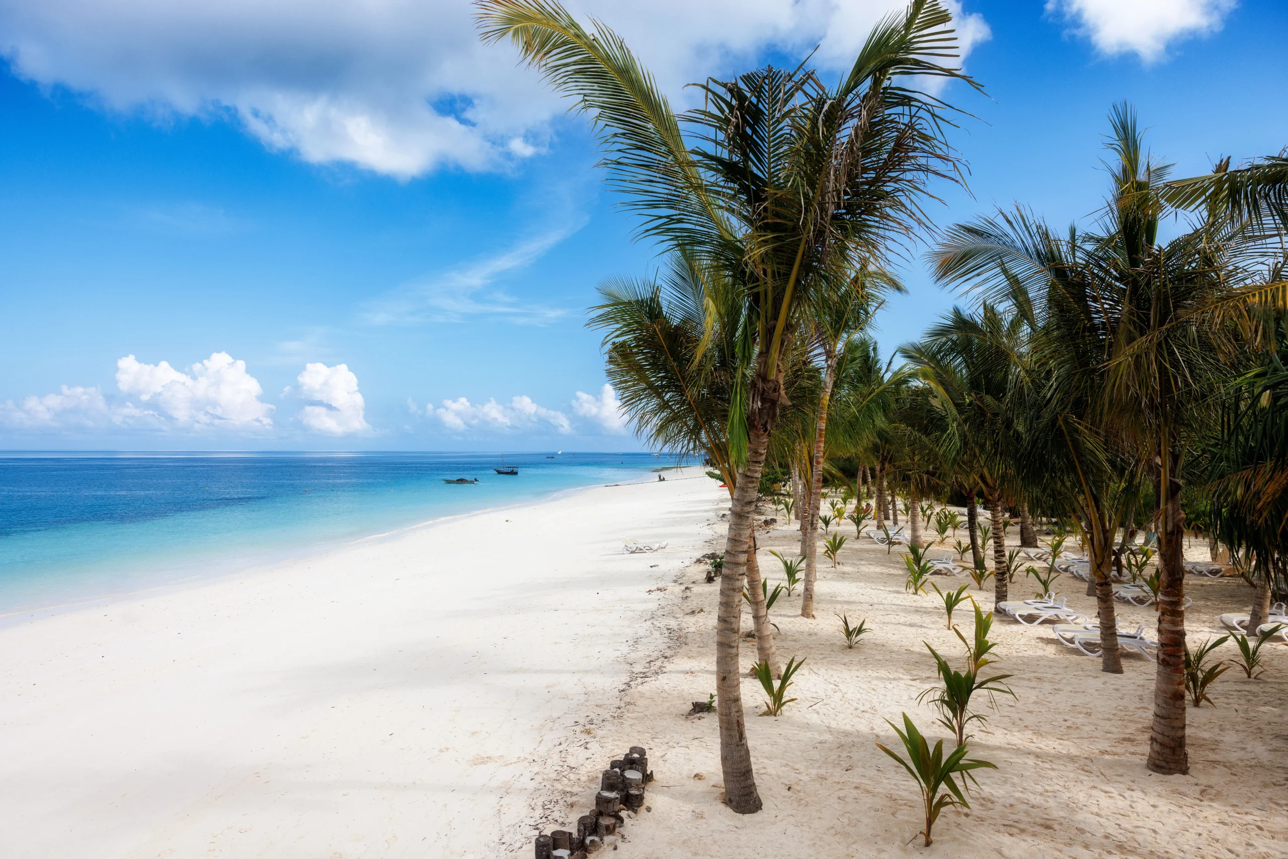 idyllic-tropical-beach-with-palm-trees-and-white-s-2026-03-18-08-01-28-utc_result