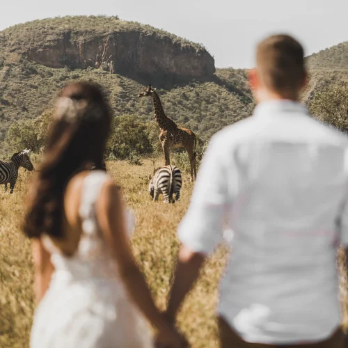 flock-of-zebras-and-giraffe-walking-in-kenya-natio-2026-01-05-00-40-49-utc_result