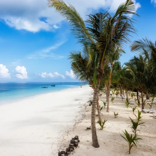 idyllic-tropical-beach-with-palm-trees-and-white-s-2026-03-18-08-01-28-utc_result